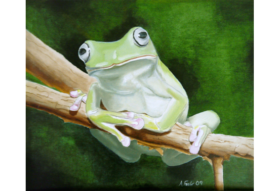 Whites tree frog - Alkyd oil paint